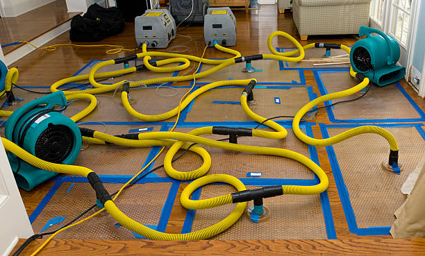 Professional Basement Flood Cleanup technician working in Watertown, TN